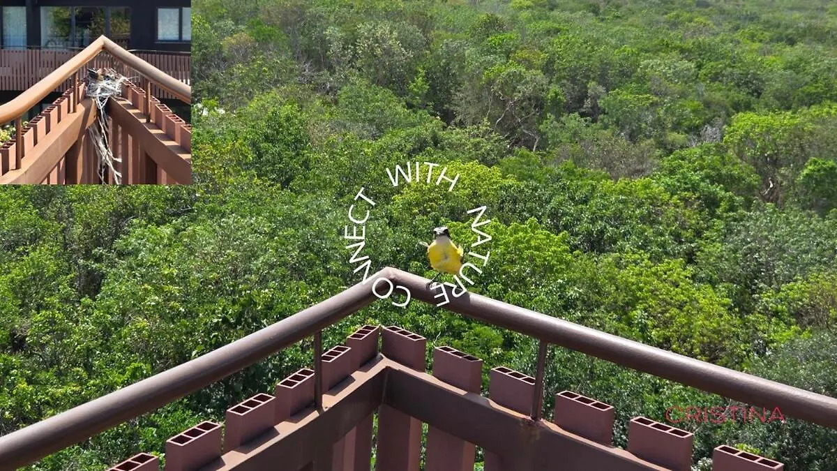 Tulum 1 Bd - 5 Min Walk To Beach アパート